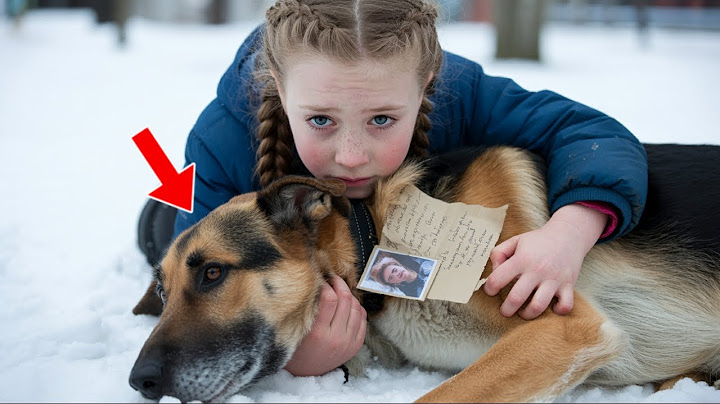 Little Girl Found Hugging Frozen Dog in Snow—What He Was Hiding Broke Hearts
