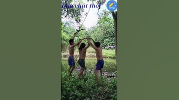 nganbangRIVEWnhạc-tiểuphẩm; 😆 Góc Hài  Nhạc – Mỗi Ngày Một Trận Cười Gãy Nách