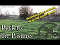 Man v Field: Metal Detecting UK - Back to the Pasture