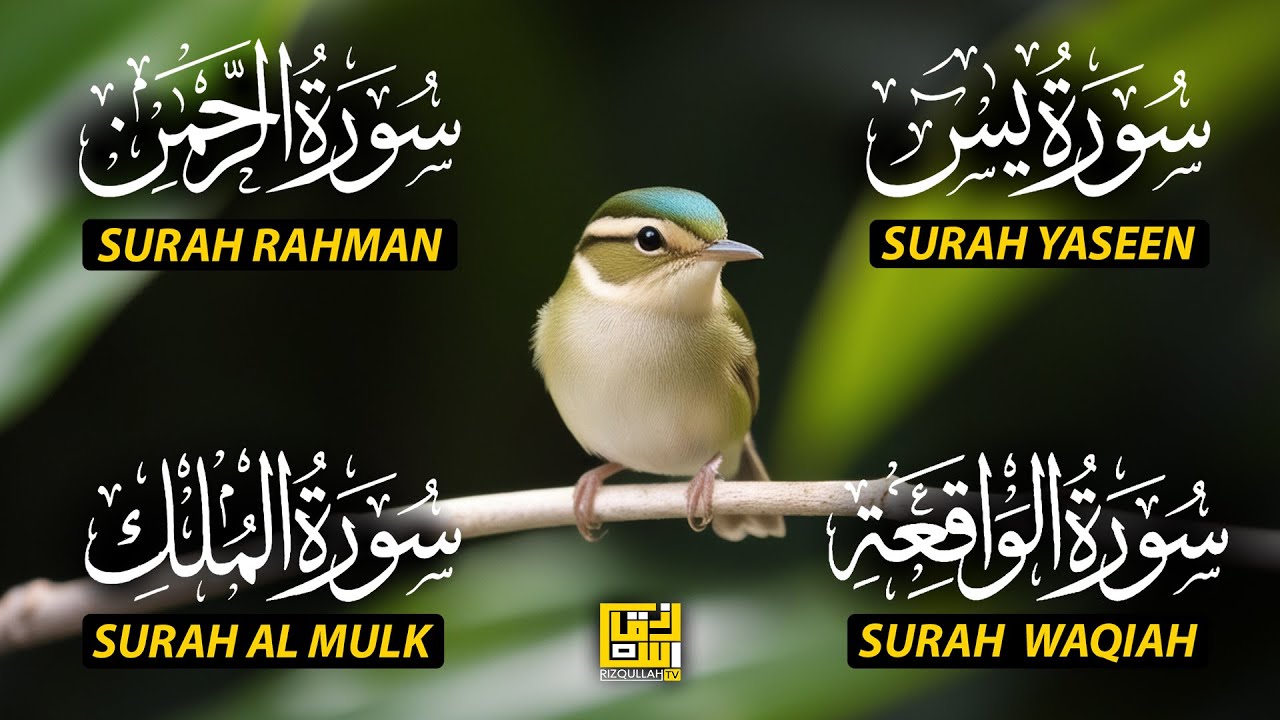 The Best Recitation Surah Yaseen (Yasin) | Surah Rahman | Surah Waqiah | Surah Mulk EP185