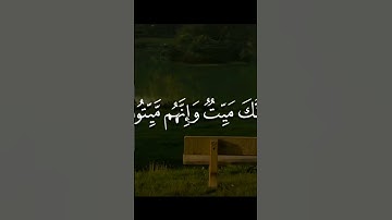 القارئ محمد صديق المنشاوي #اكسبلور #القرآن_الكريم #viralvideo #ايات_قرانيه_قصيره #راحة_نفسية #قرآن