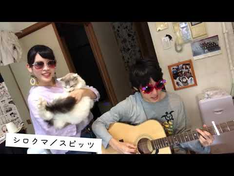 シロクマ／スピッツ（cover）