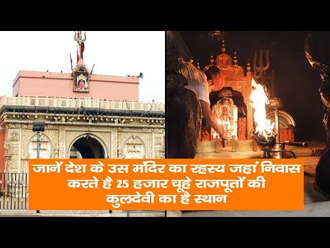 जानें देश के उस मंदिर का रहस्य जहां निवास करते है 25 हजार चूहे, राजपूतों की कुलदेवी का है स्थान