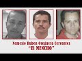 Federal crackdown on Jalisco drug cartel nets hundreds of arrests