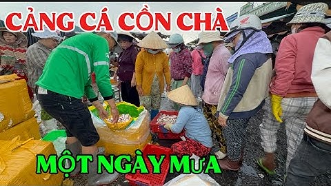 Chợ Cảng Cá Cồn Chà  Nhộn Nhịp Sớm Mai Phan Thiết ngày 25 tháng 11, 2025