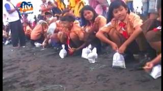 Pelepasan ke Dua Belas JTV Lain