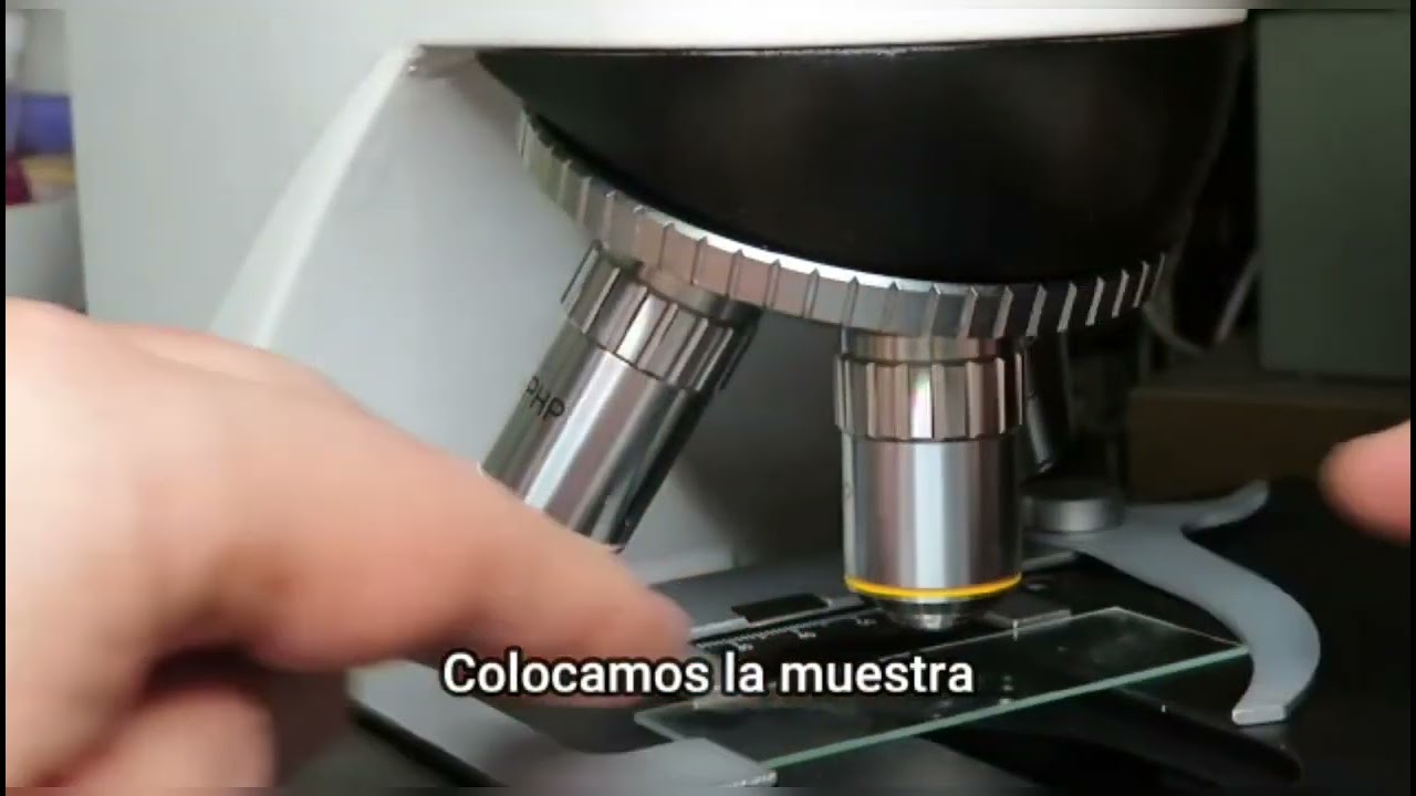 Microscopio de contraste de fases