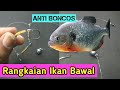 Tips Membuat Rangkaian Pancing Ikan Bawal Anti Boncos