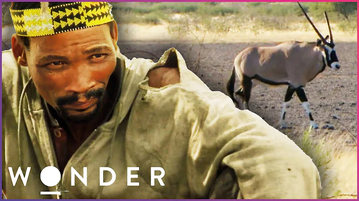 Learning The Survival Tactics Of A Tribal Hunter |...