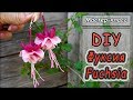 DIY ❤ Фуксия из полимерной глины ❤ Видео-урок по лепке  ❤ Polymer clay tutorial