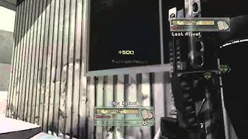 I Can Fake On MW2