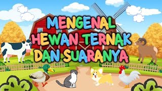 Belajar Mengenal Hewan-Hewan Ternak dan Suaranya | Pengenalan Hewan untuk Anak | Anak Pintar Belajar