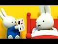 Miffy | Aunt Alice is Poorly! | Brand New Series! | Miffy's Adventures Big & Small | Compilation