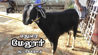 melur goat market | attu santhai | மேலூர் ஆட்டுச்சந்தை