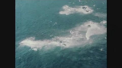 News Item (f897878b-2cb0-1019-5ec1-20e1964436f8)