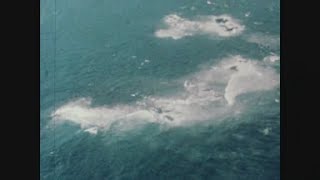 News Item (f897878b-2cb0-1019-5ec1-20e1964436f8)