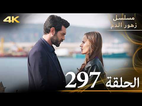 الحلقة 297 مسلسل زهور الدم مدبلج بالعربية Kan Çiçekleri جودة 4K