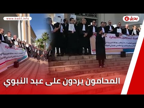 المحامون يردون على عبد النبوي