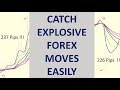 Trading Forex Dengan Teknik GMMA