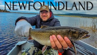 Catching MONSTER SeaRun Brook Trout in Newfoundland!!