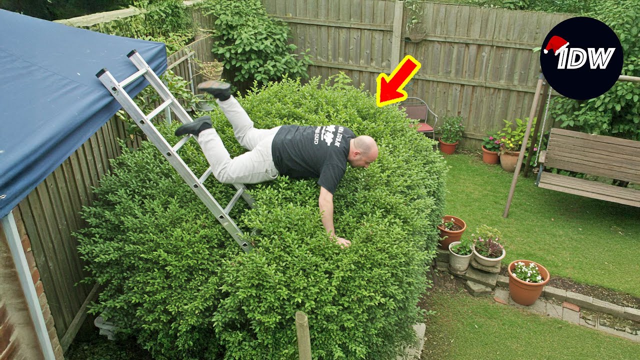 TOTAL IDIOTS AT WORK #650 | Instant Regret Fails Compilation 2025 | Best of the Week