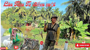 56.Câu tôm Gò Công và điểm mới vô cùng đẹp cùng Tôm khủng to