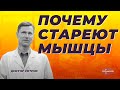 Снижение силы- главный признак старения мышц Как сохранить мышцы мужчинам и женщинам.