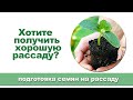 Как улучшить всхожесть рассады? Замочите семена перед посадкой в янтарной кислоте.