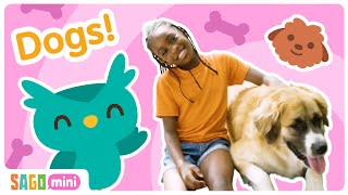 How Do You Take Care of a DOG  | Circle Time for Kids | Sago Mini Social & Emotional Learning