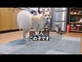 犯人この子です