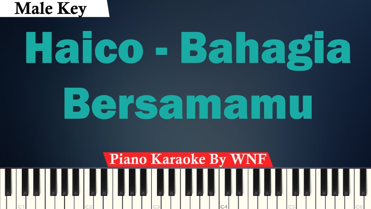 Lagu bahagia bersamamu haico van der veken