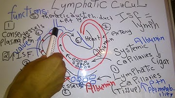 CVS new system (Lymphatic circulation) dr mohamed fayez
