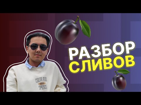 РАЗБОР МАРТОВСКИХ СЛИВОВ | ЕНТ Биология 2024!