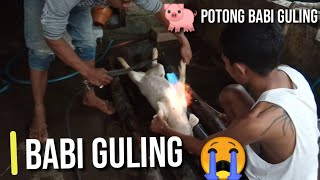 cara potong babi dan  proses pengolahan Babi guling