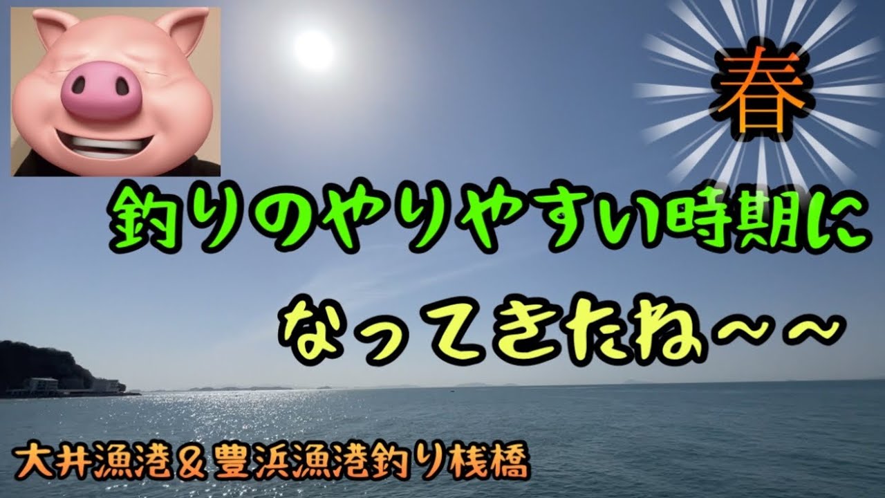 大井漁港＆豊浜漁港釣り桟橋！！春、釣りのやりやすい時期になってきたね〜！！