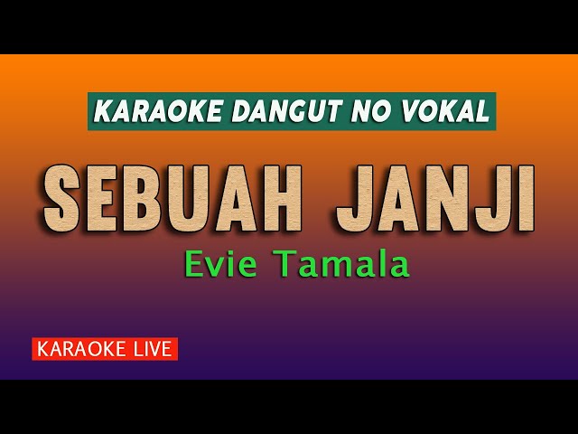 Sebuah Janji  Karaoke  -  Evie Tamala class=