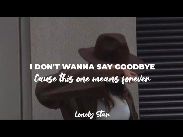 I don't wanna say goodbye,cause this one means forever || In the stars || Remix • Lyrics class=