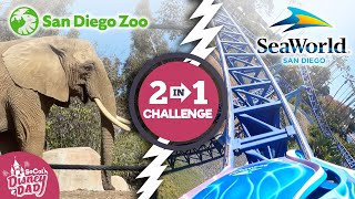 San Diego Zoo & SeaWorld San Diego in 1 Day!? | 2 Park Challenge 2022