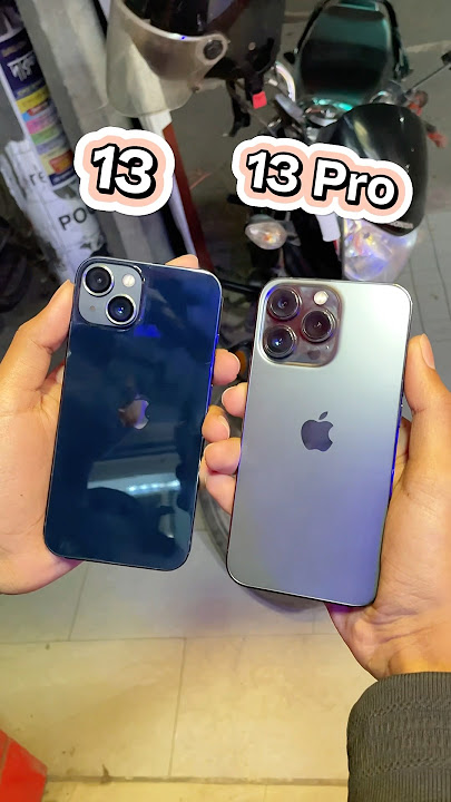 iPhone 13 Vs iPhone 13 Pro || Camera Zoom Test! #shorts