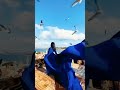 Naz Dej Tuttur Dur Turkish Songs Turkey 2023 Song Istanbul Tuttur Naz Dej Tuttur Dur Turkish Songs Turkey 2023 Song Istanbul Tuttur