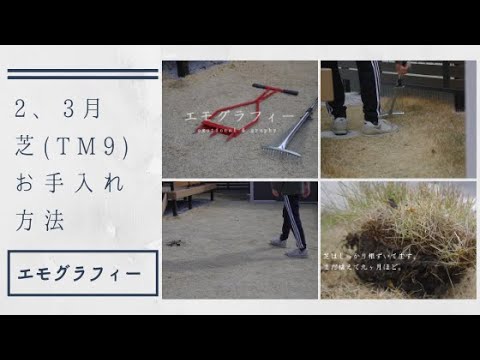 Tm9 芝の手入れ方法 2 3月 サッチングとエアレーション前編 Turf Care Vlog Youtube