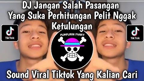 DJ JANGAN SALAH PASANGAN YANG SUKA PERHITUNGAN PELIT NGGAK KETULUNGAN VIRAL TIKTOK 2025