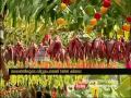 Sacred heart church kothad sells vegetables and fruits at low price