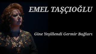 Emel Taşçıoğlu - Gine Yeşillendi Germir Bağları Resimi