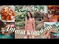 A rainy day in Animal Kingdom | Walt Disney World September 2022