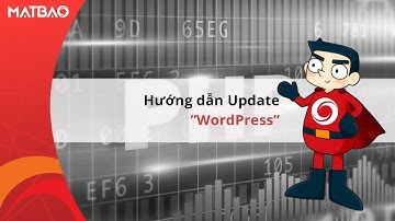 Hướng dẫn cách update phiên bản (version) WordPress | Hosting WordPress | MẮT BÃO
