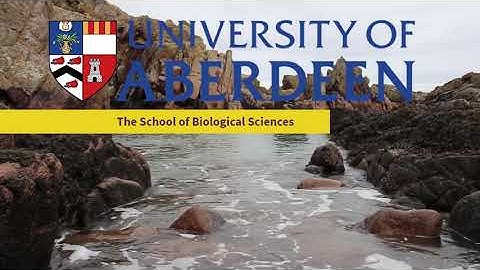 Lab Teaching at the University of Aberdeen, 2018