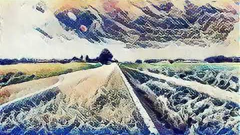 applied style transfer to the video