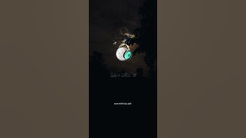أَفَرَأَيْتَ الَّذِي كَفَرَ بِآيَاتِنَا || تلاوة خاشعة جدا بصوت القارئ عبد الرحمن مسعد