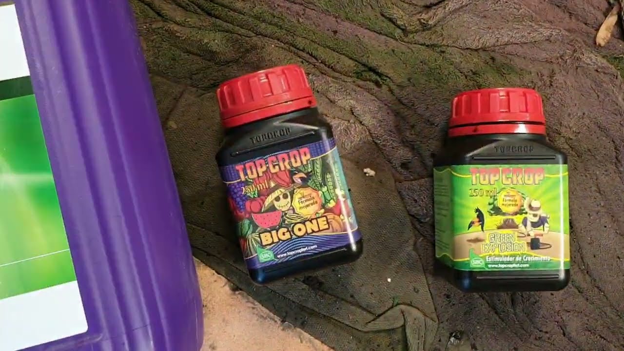 Применение полной линейки удобрений Top Crop на примере 4 х индорных растих от Мария Любит Хуана 